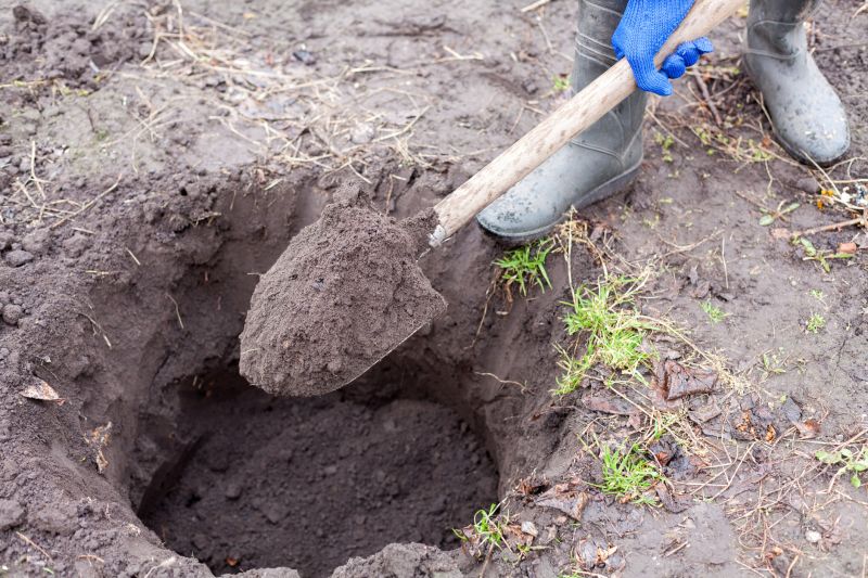 Ditch Digging Service