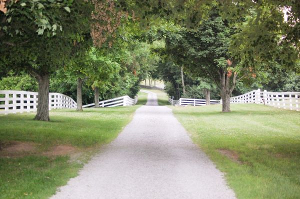 Gravel Driveway Construction in Dublin