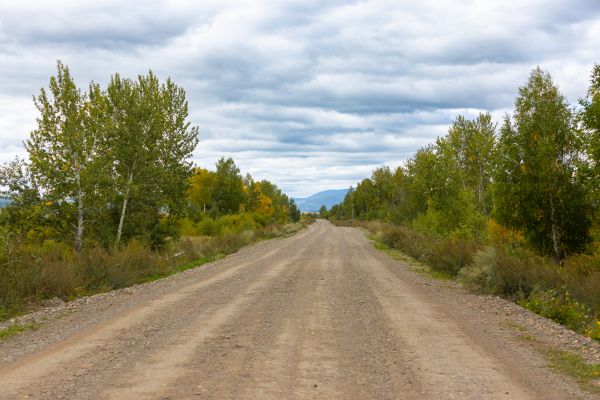Dirt Road Repair in Dublin