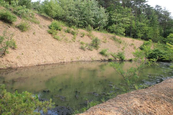 Pond Erosion Repair in Dublin