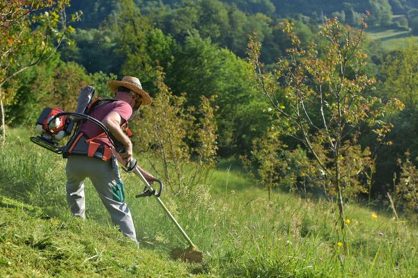 Cost of Slope Trimming in Dublin